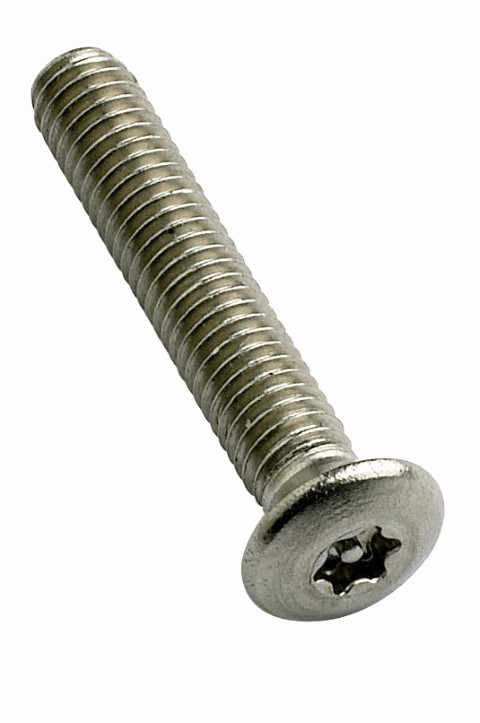 SECURITY MTS SCREW RSD CSK SS304 M3.5 X 12MM POST TORX ( T10)